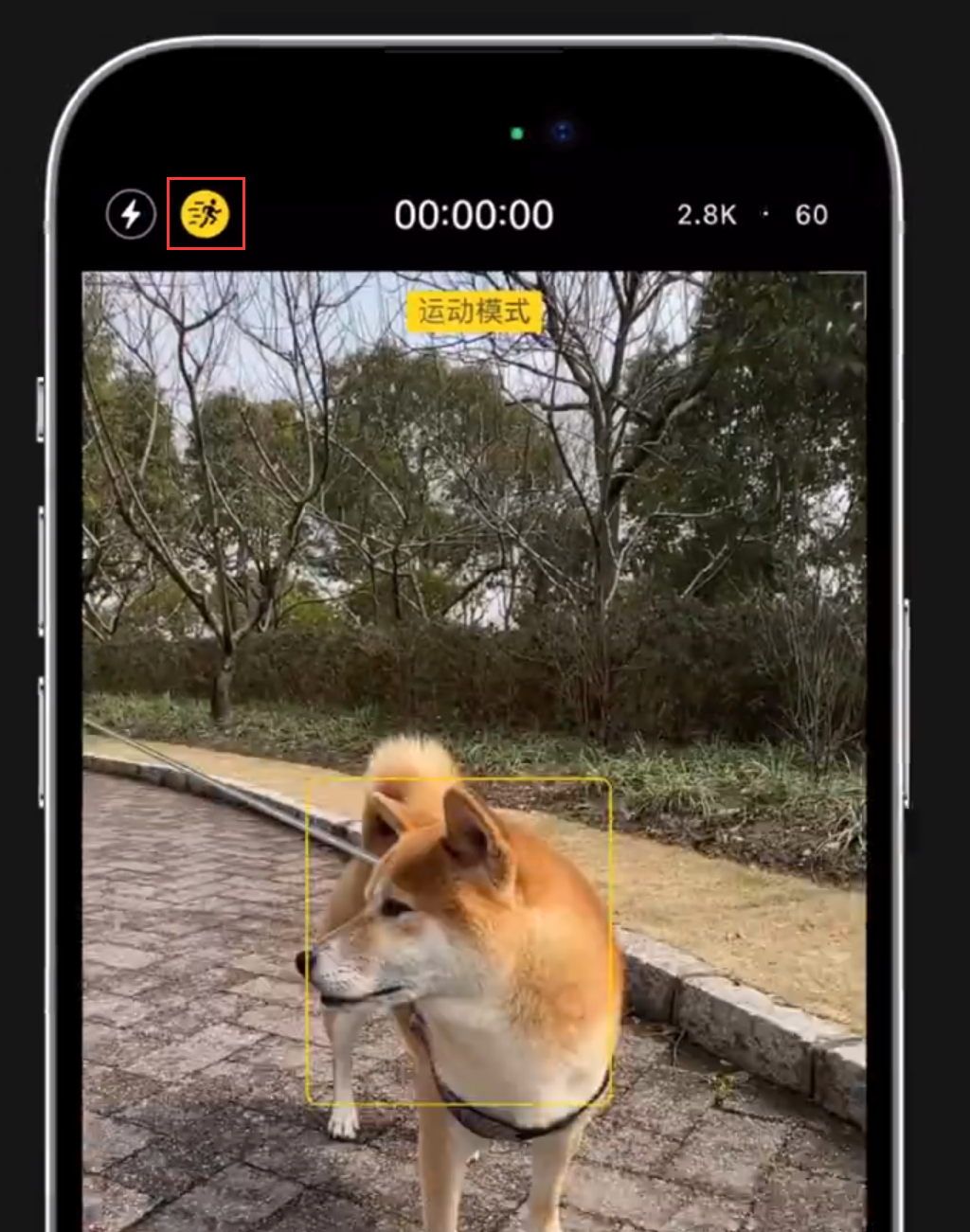 小技巧:在 iPhone 14 上手持拍摄也能保持画面稳定