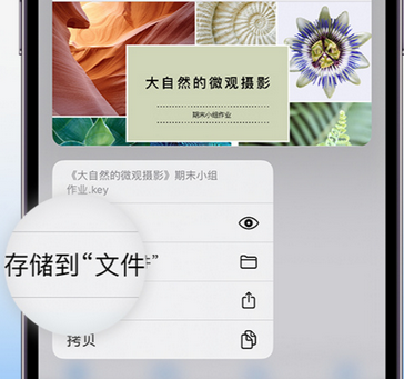 蒙自apple维修中心分享iPhone文件应用中存储和找到下载文件