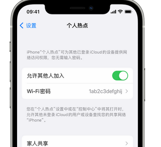 蒙自apple服务站点分享iPhone上个人热点丢失了怎么办