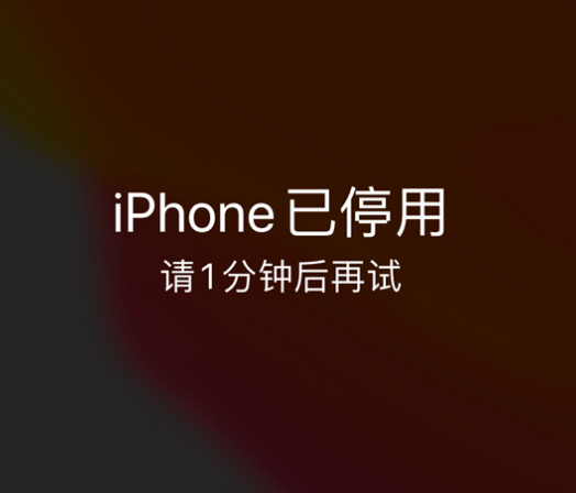 蒙自苹果手机维修分享:iPhone 显示“不可用”或“已停用”怎么办？还能保留数据吗？ 