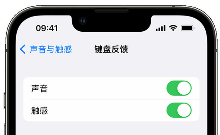 蒙自苹果手机维修分享iPhone 14触感键盘使用方法 