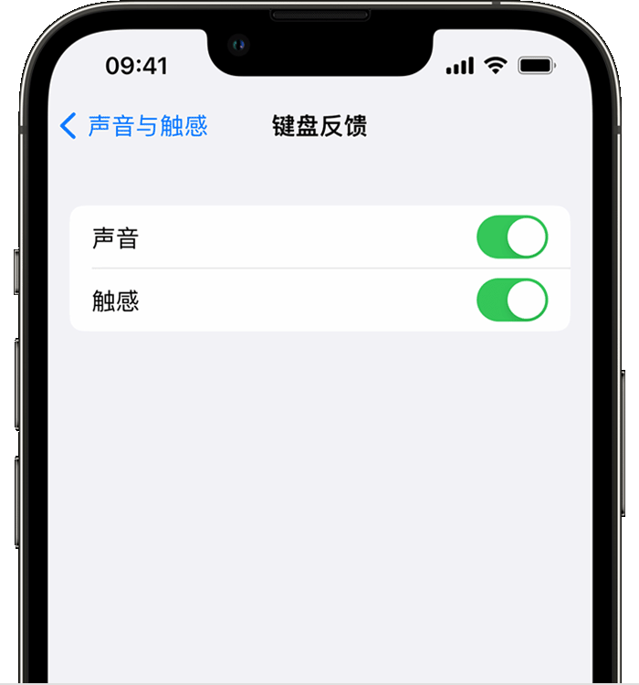 蒙自苹果14维修店分享如何在 iPhone 14 机型中使用触感键盘 