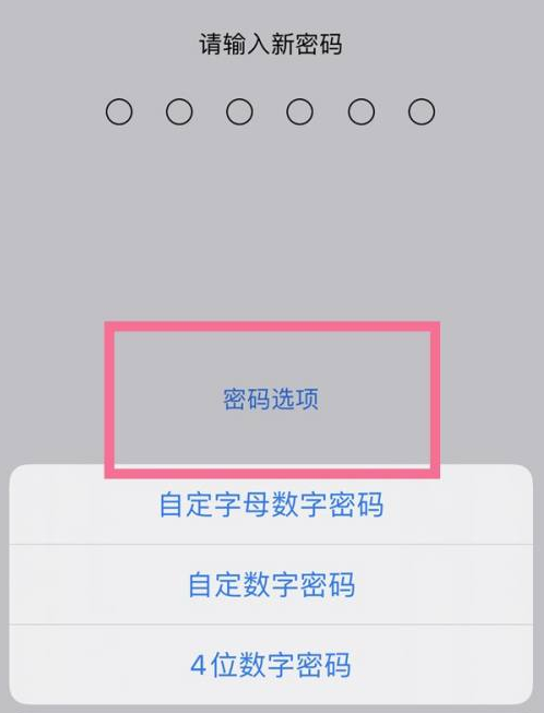 蒙自苹果14维修分享iPhone 14plus设置密码的方法 