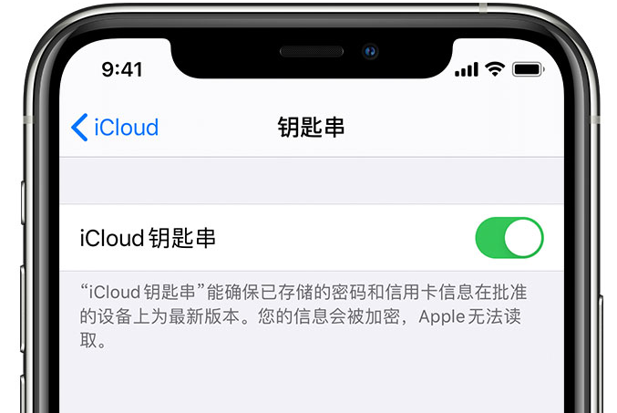 蒙自苹果手机维修分享在 iPhone 上开启 iCloud 钥匙串之后会储存哪些信息 