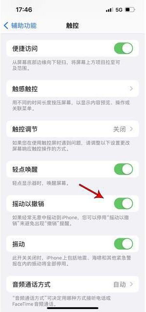 蒙自苹果手机维修分享iPhone手机如何设置摇一摇删除文字 