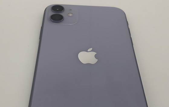 蒙自苹果11系统维修分享iPhone11手机系统崩溃无法开机如何解决 