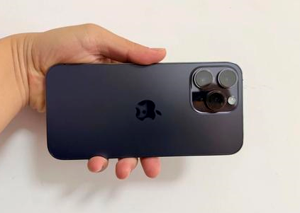 蒙自苹果维修点分享iPhone 14 Pro Max黑屏少见故障盘点 